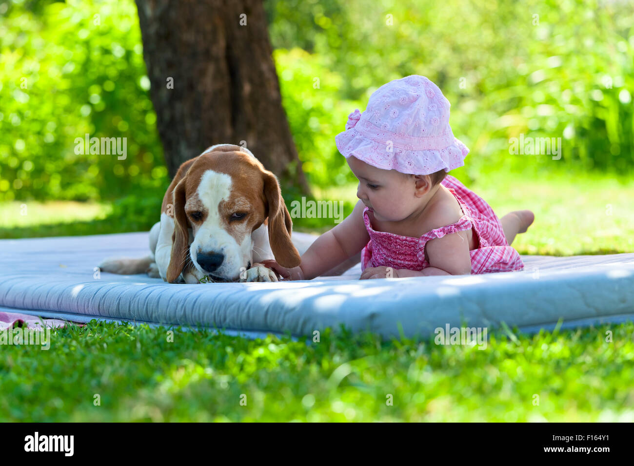 little girl plays with a dog in the garden Stock Photo - Alamy
