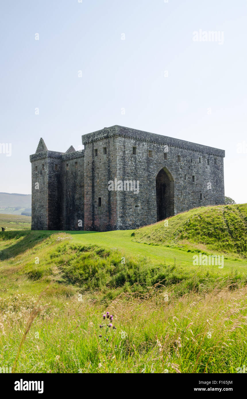 Historic Scotland's Hermitage Castle, from the moat at Liddesdale, nr