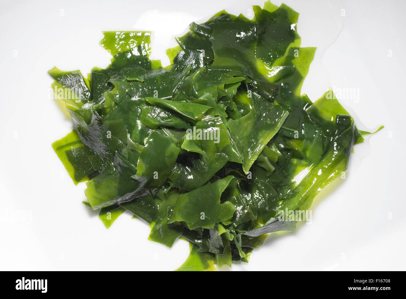 Re-hydrated / reconstituted wakkame (Undaria pinnatifida), a very popular Asian and Oriental seaweed food. Stock Photo