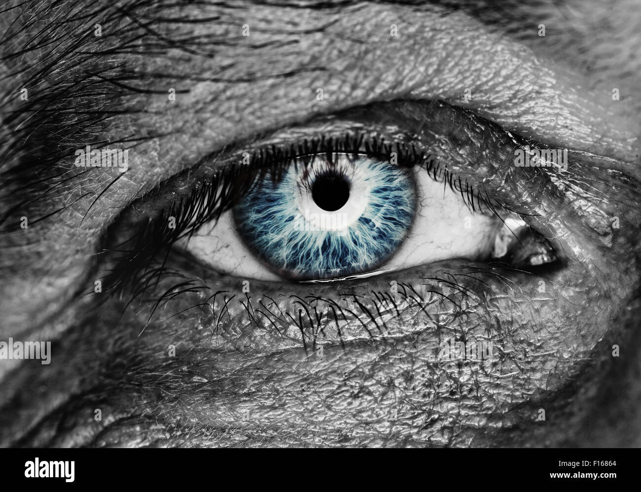 Monochrome picture of a human eye Stock Photo