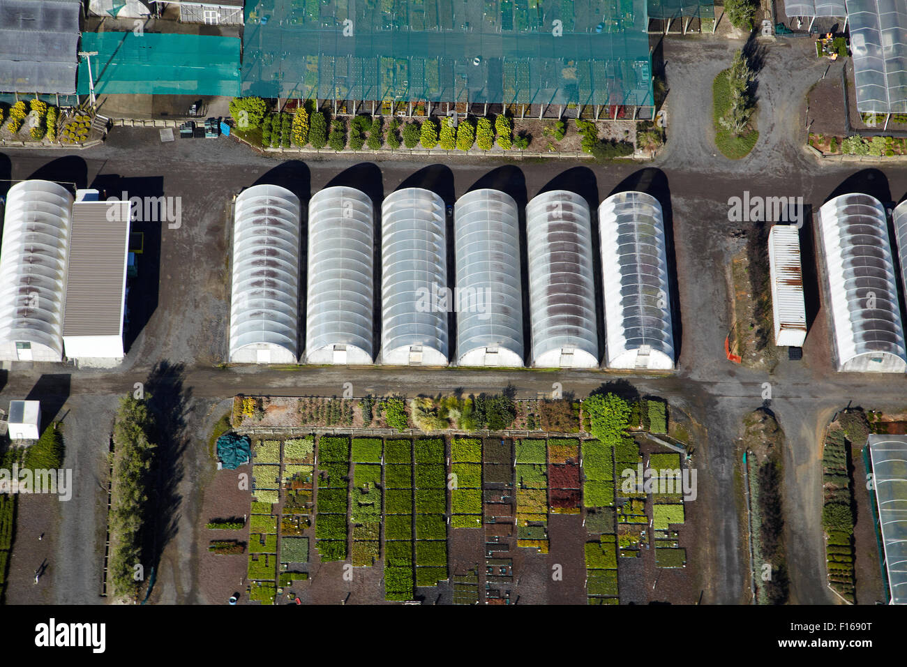 Plant nursery, Whenuapai, Auckland, North Island, New Zealand aerial Stock Photo Alamy
