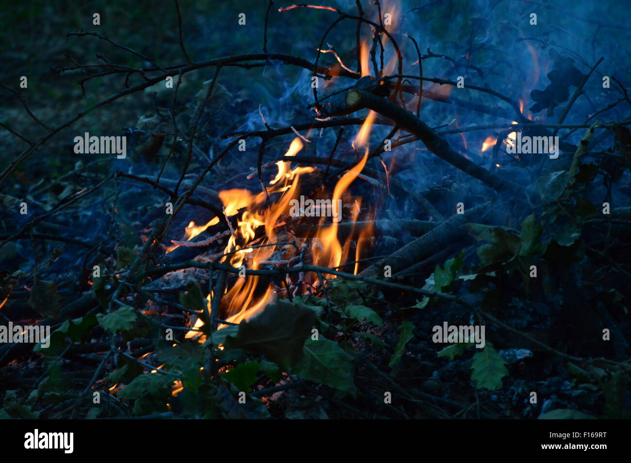 like fire in the night