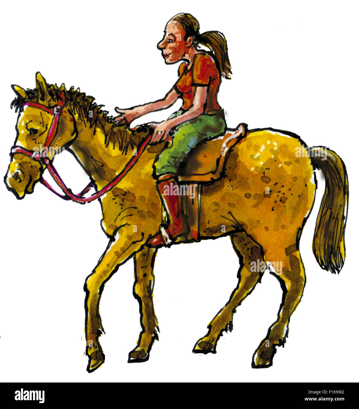 Horseback riding cartoon hi-res stock photography and images - Alamy