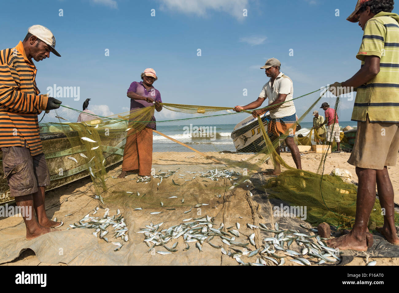 Fishermen At Negombo Fish Market, Sri Lanka Stock Photo - Alamy