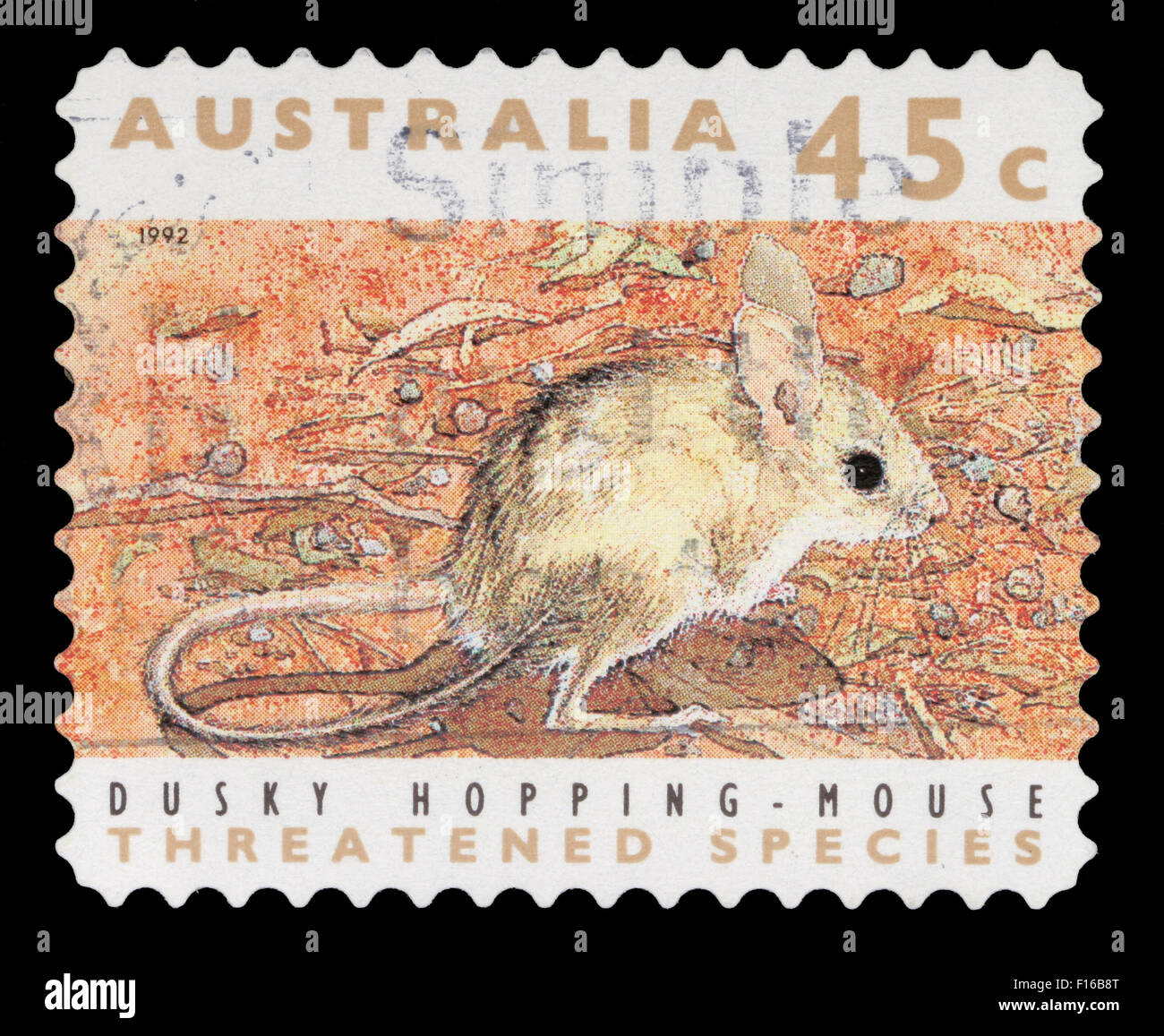Stamp printed in the Australia shows Dusky Hopping Mouse, Notomys Fuscus, Rodent, circa 1992 Stock Photo
