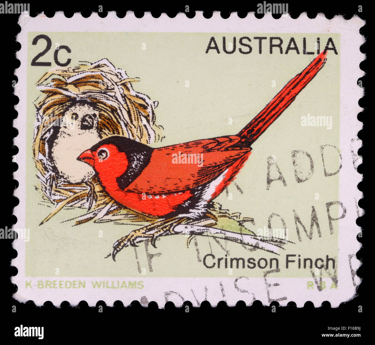 Stamp printed in Australia, shows the Crimson Finch (Neochmia phaeton), circa 1979 Stock Photo