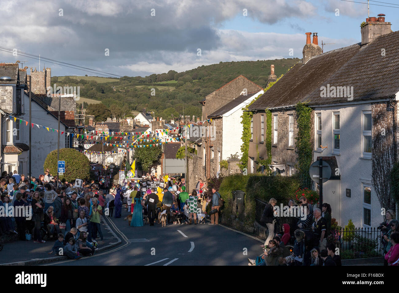 crowds at moretonhampstead carnival,dartmoor national park,moretonhampstead carnival, Stock Photo