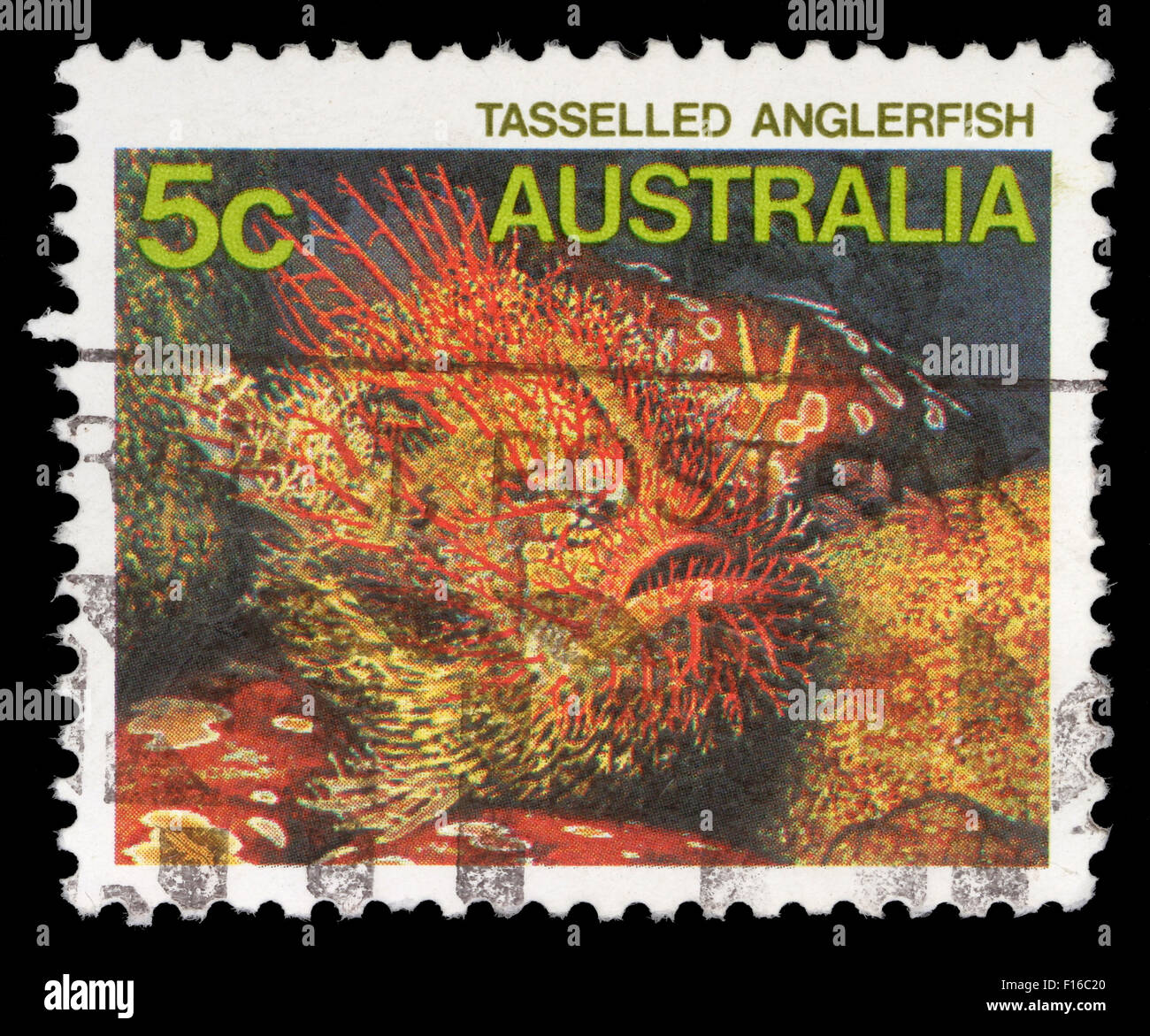 Stamp printed in Australia shows the Tasseled Anglerfish, series, circa ...