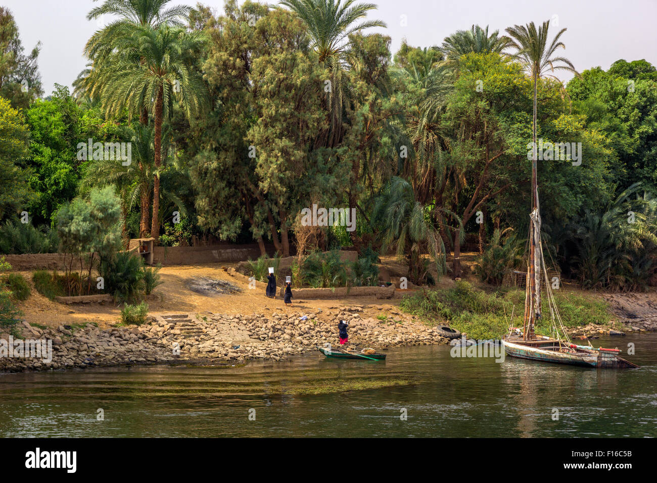 a horizontal view of a Nile river landscape, Egypt Stock Photo