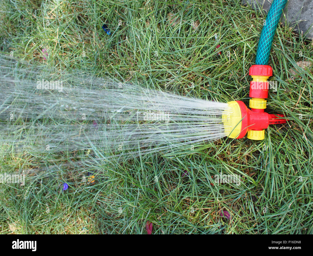 Hose watering grass hires stock photography and images Alamy