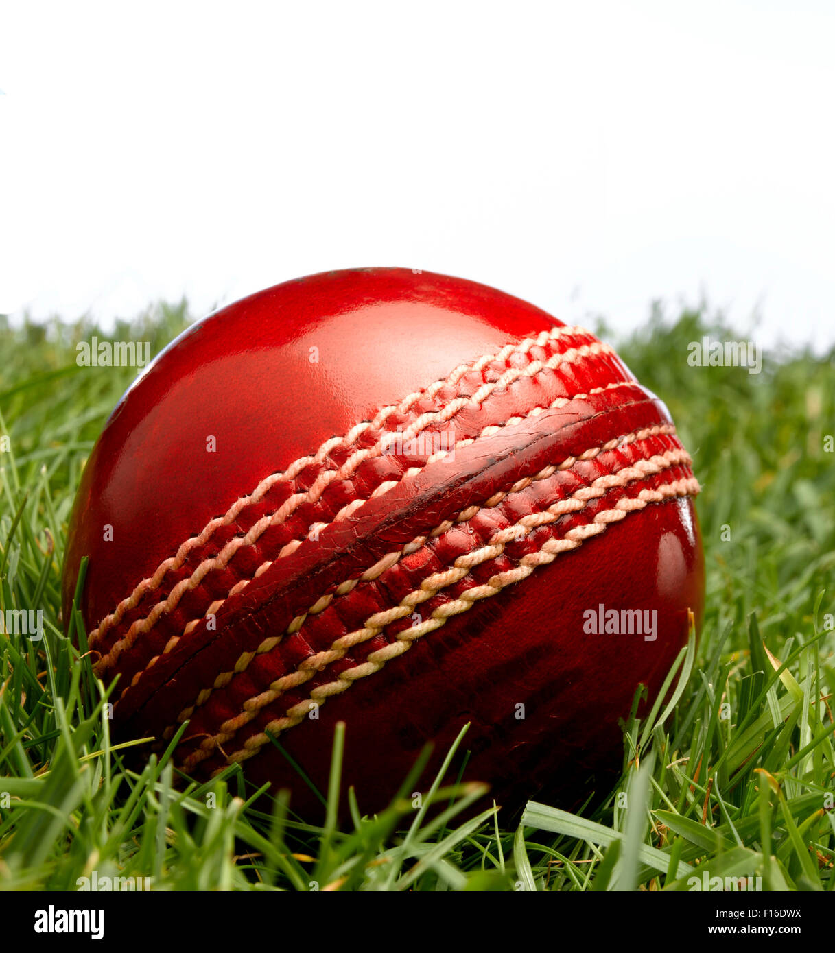 Red Leather Cricket Ball Stock Photo Alamy