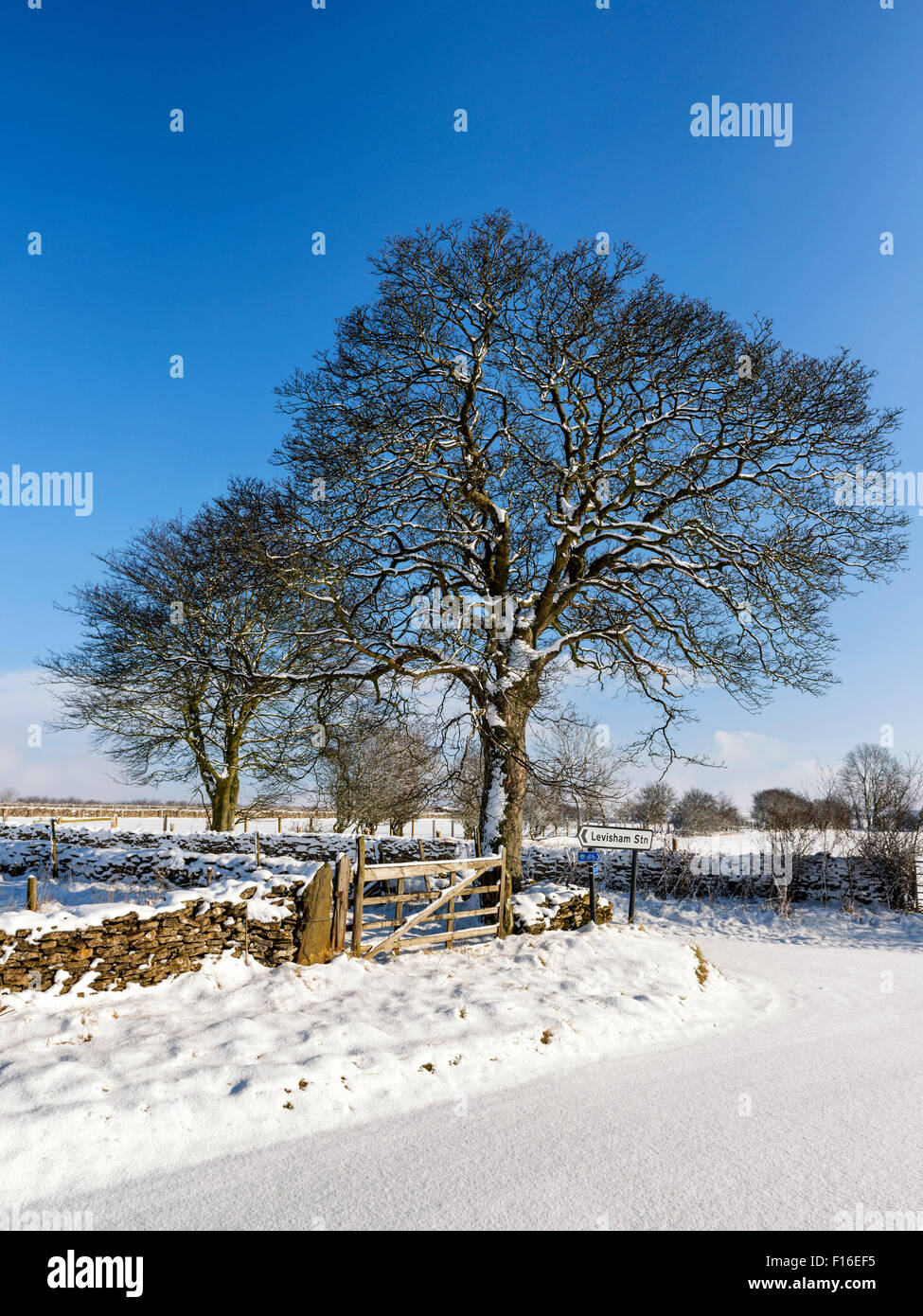 Winter at Levisham on the North York Moors Stock Photo