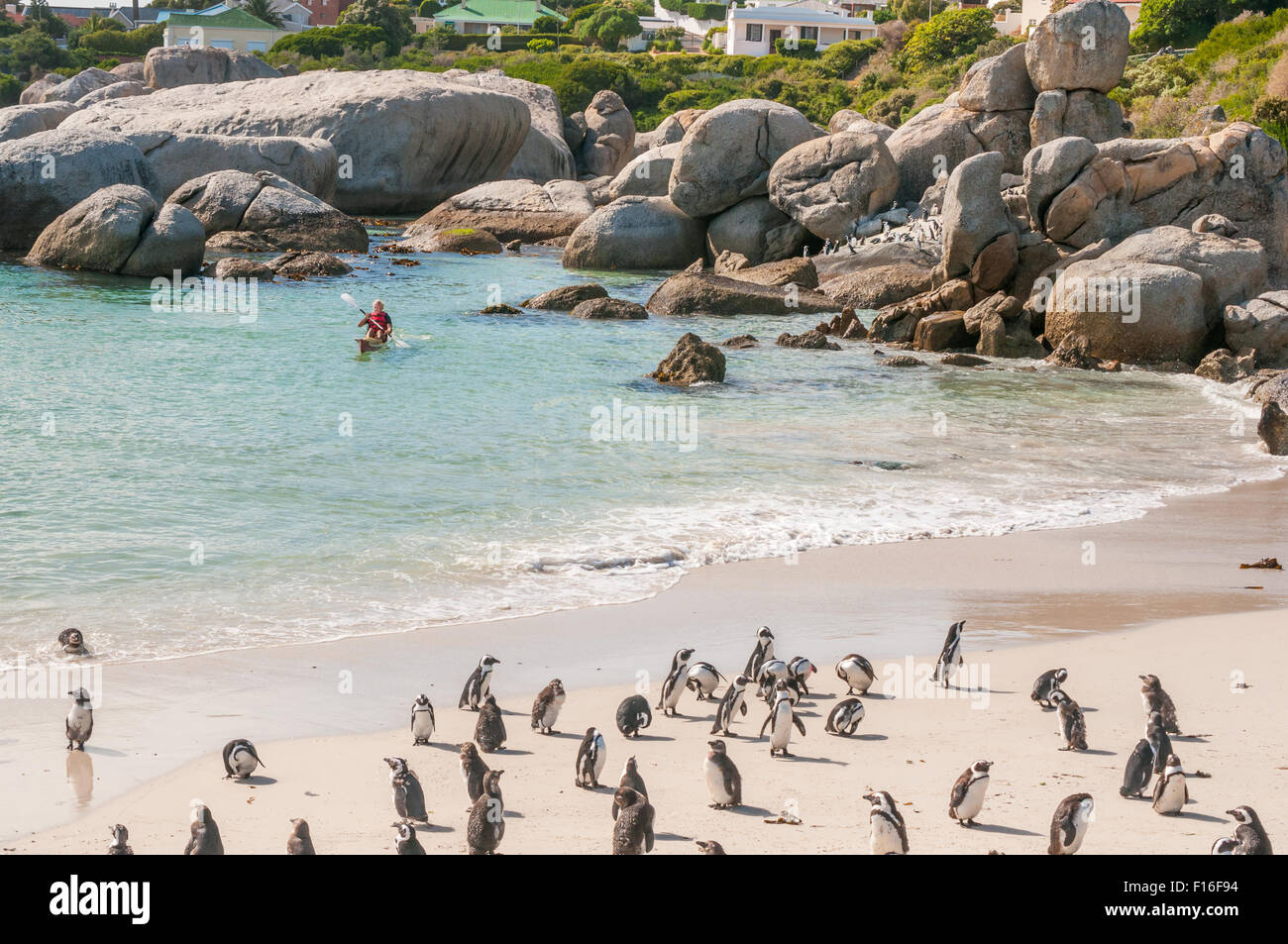 The Boulders section of the Table Mountain National Park in Simons Town Stock Photo