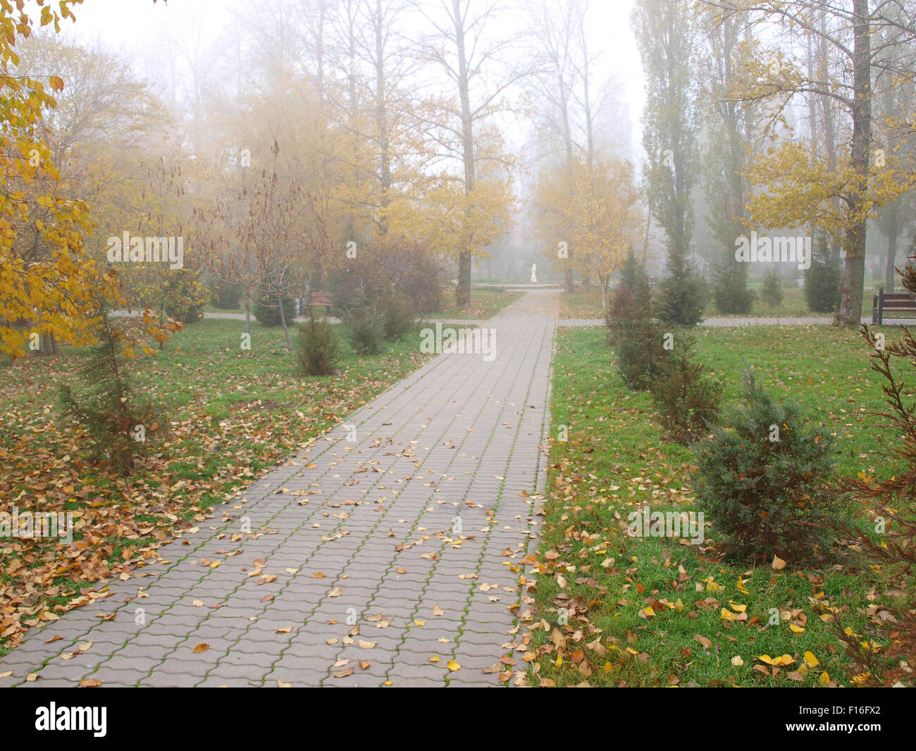 Light and fog lawn hi-res stock photography and images - Alamy