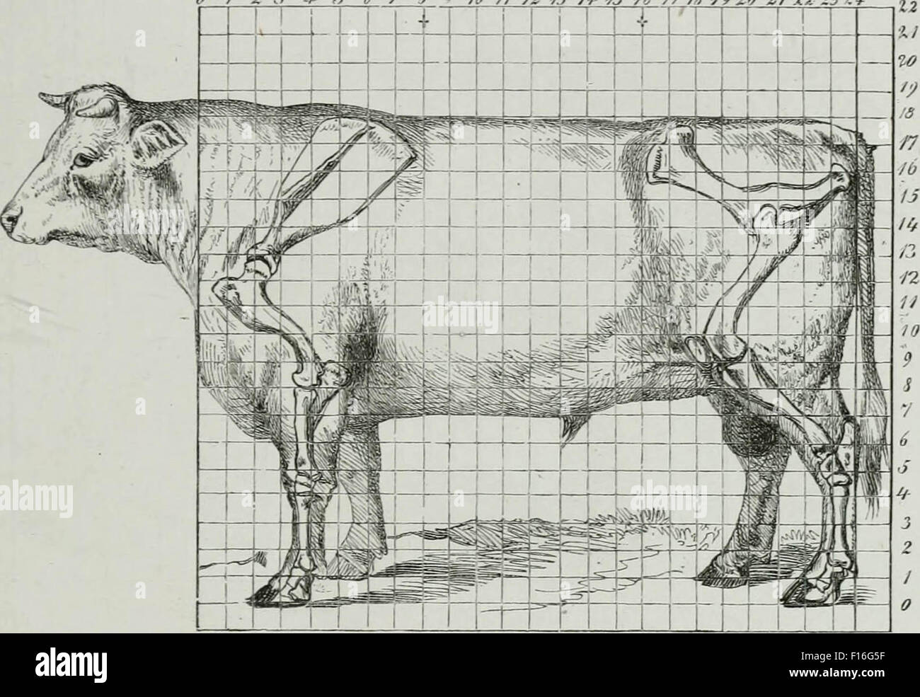 Historical graph hi-res stock photography and images - Alamy