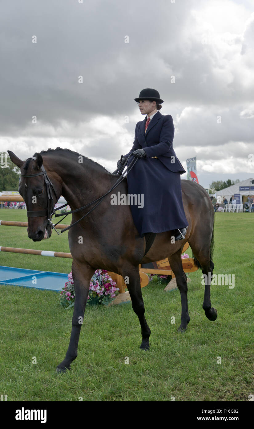 Lady side saddle hires stock photography and images Alamy