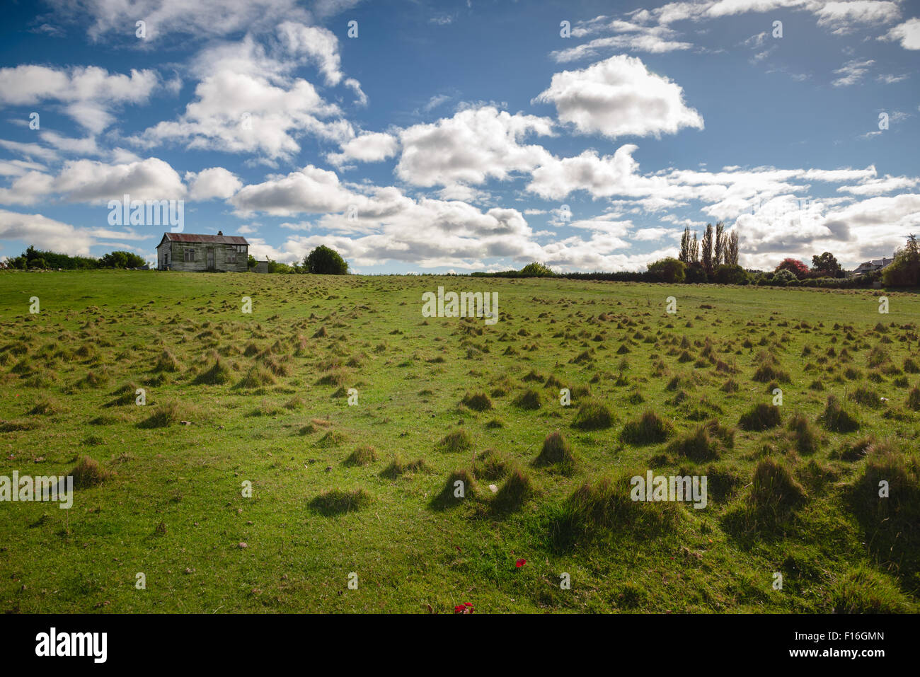 Old farm house in green field with cloudy blue sky Stock Photo - Alamy