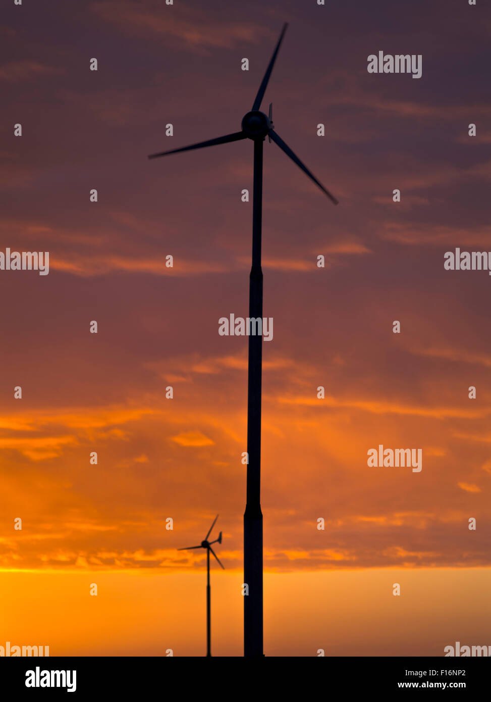 dh  WIND TURBINE UK Sunset wind turbine silhouette sun windturbine uk windfarm farm turbines sky set Stock Photo
