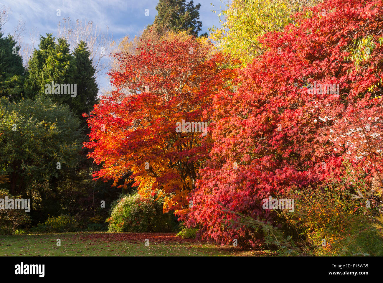 Autumn in cluny hires stock photography and images Alamy
