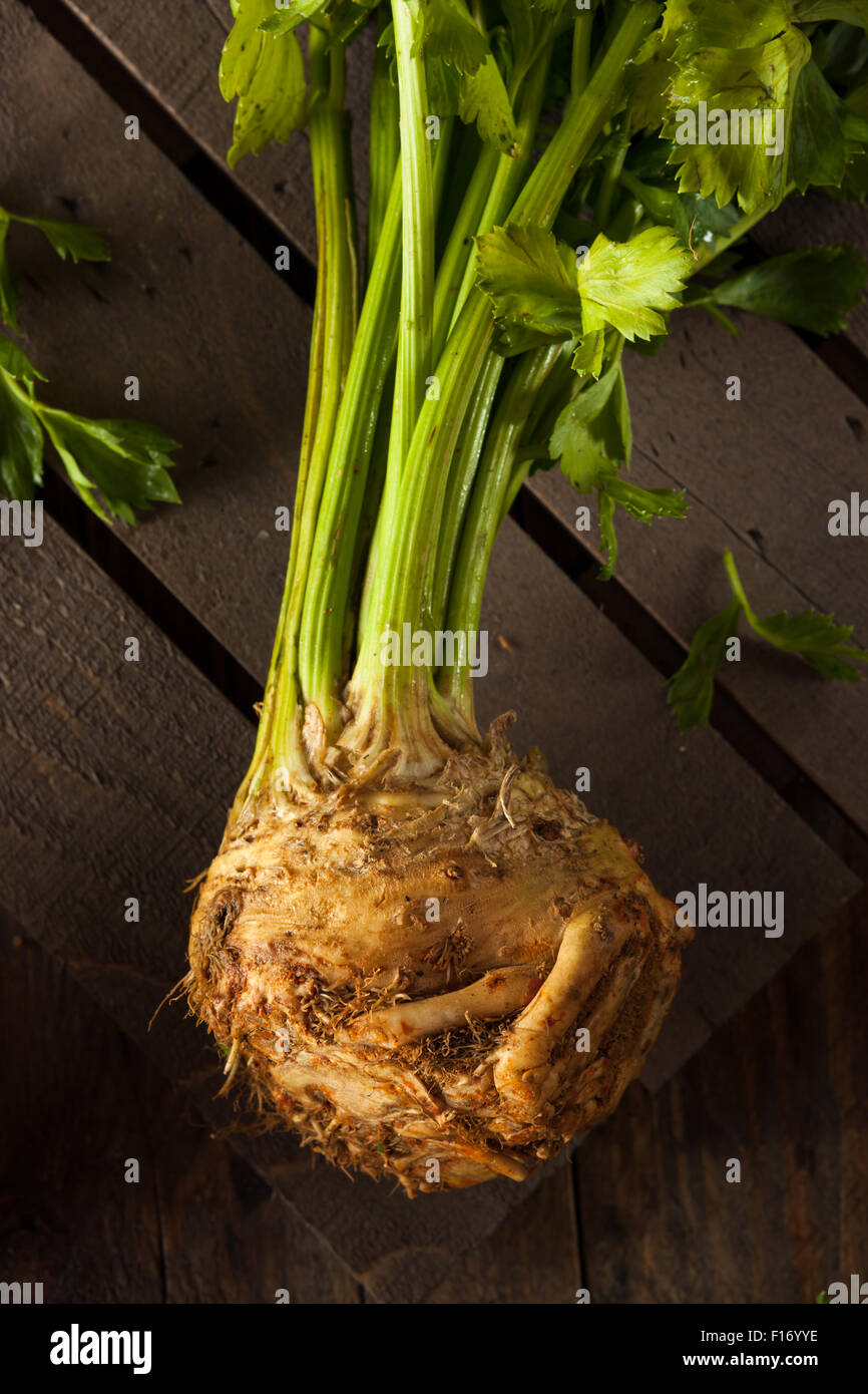 Celery Plant High Resolution Stock Photography and Images Alamy