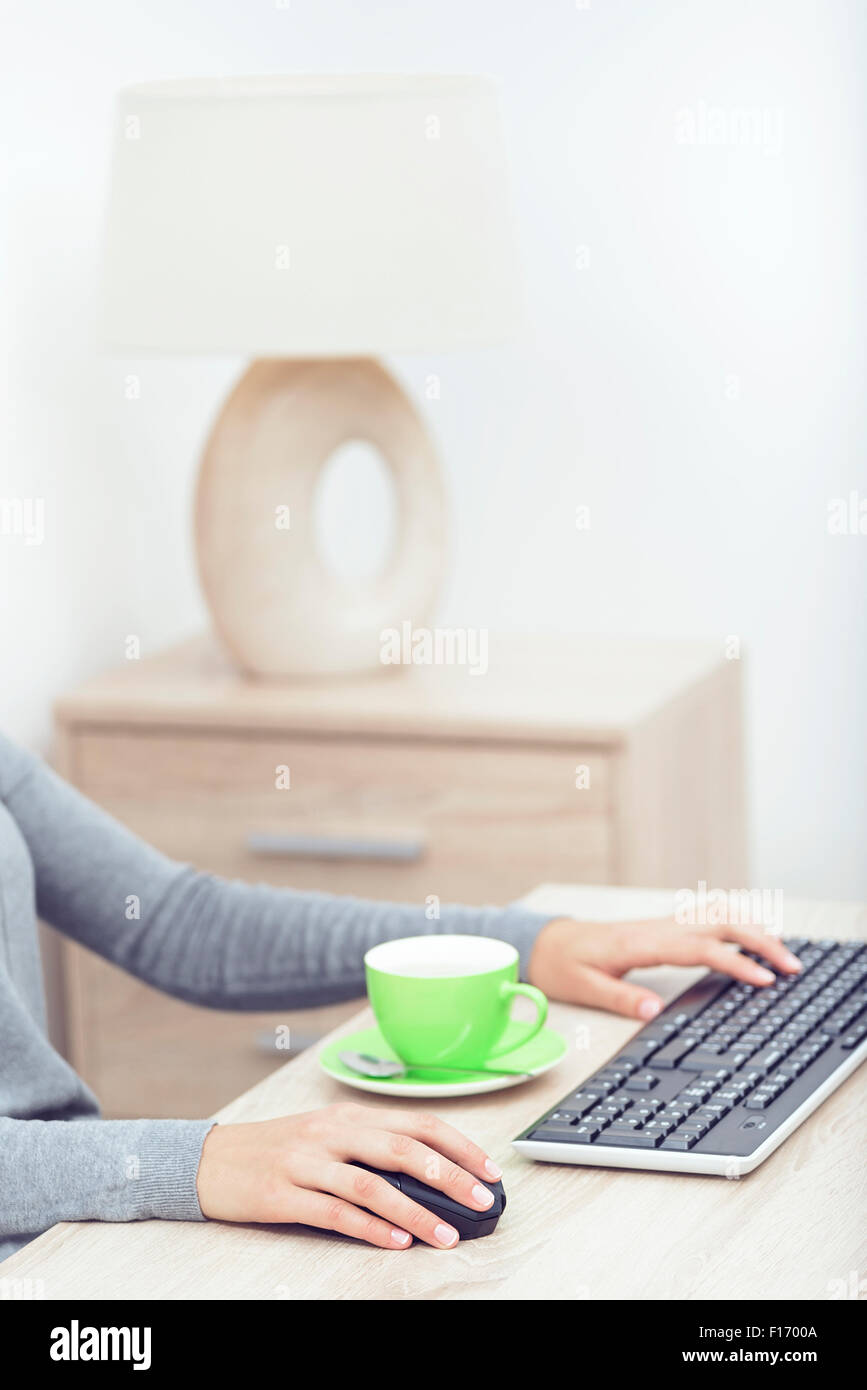 Woman's hands on a keyboard. Stock Photo