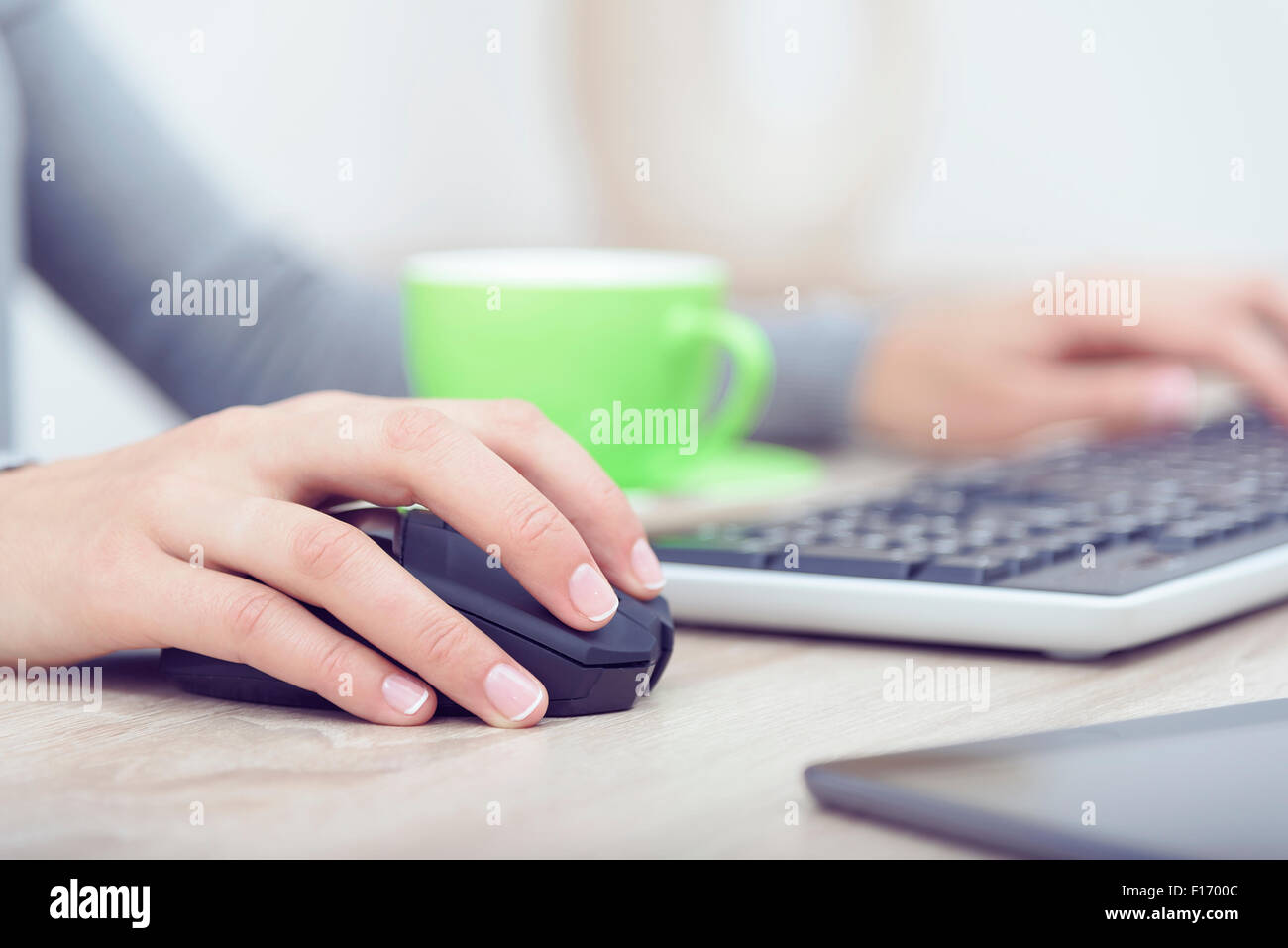 Woman's hands on a keyboard. Stock Photo