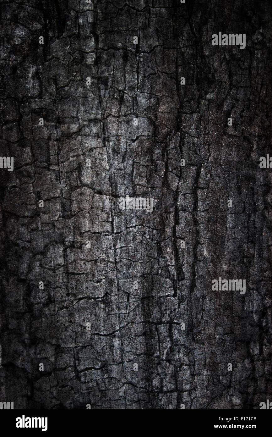 Burnt grunge background / Composite photo of burnt wood and concrete textures Stock Photo