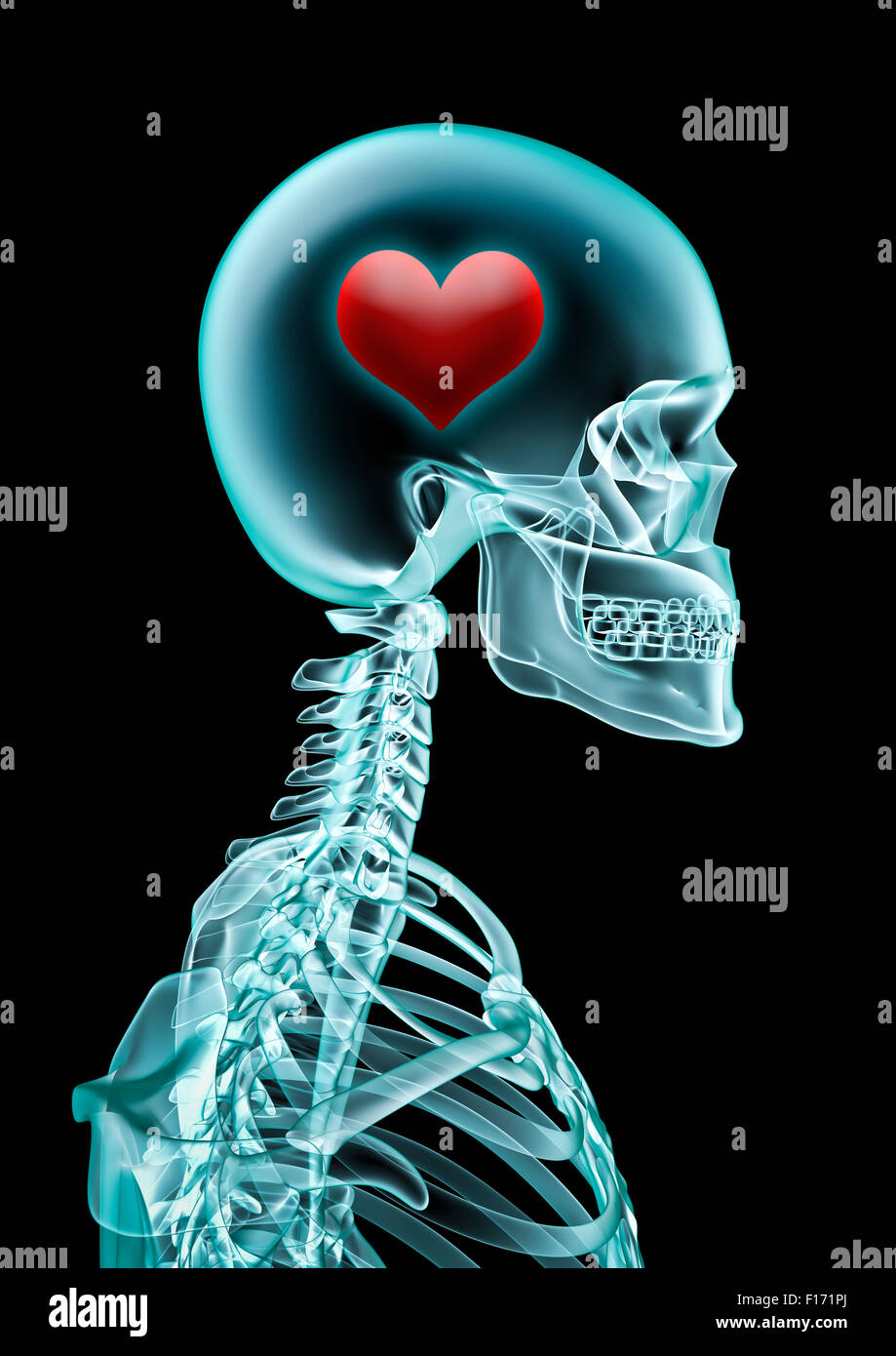 X-ray love / 3D render of x-ray showing heart inside head Stock Photo