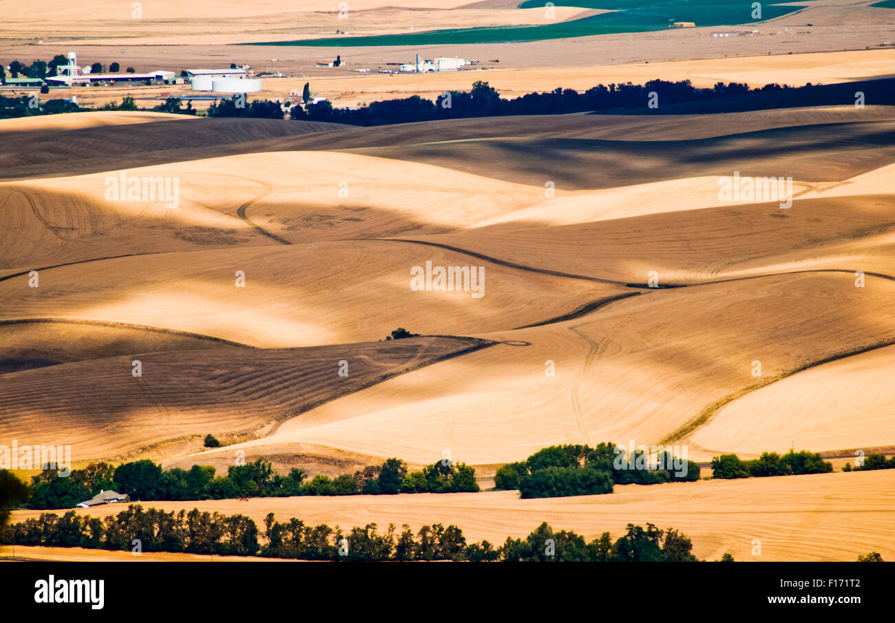 The rolling hills and fields of the Walla Walla valley, Eastern Washington USA Stock Photo