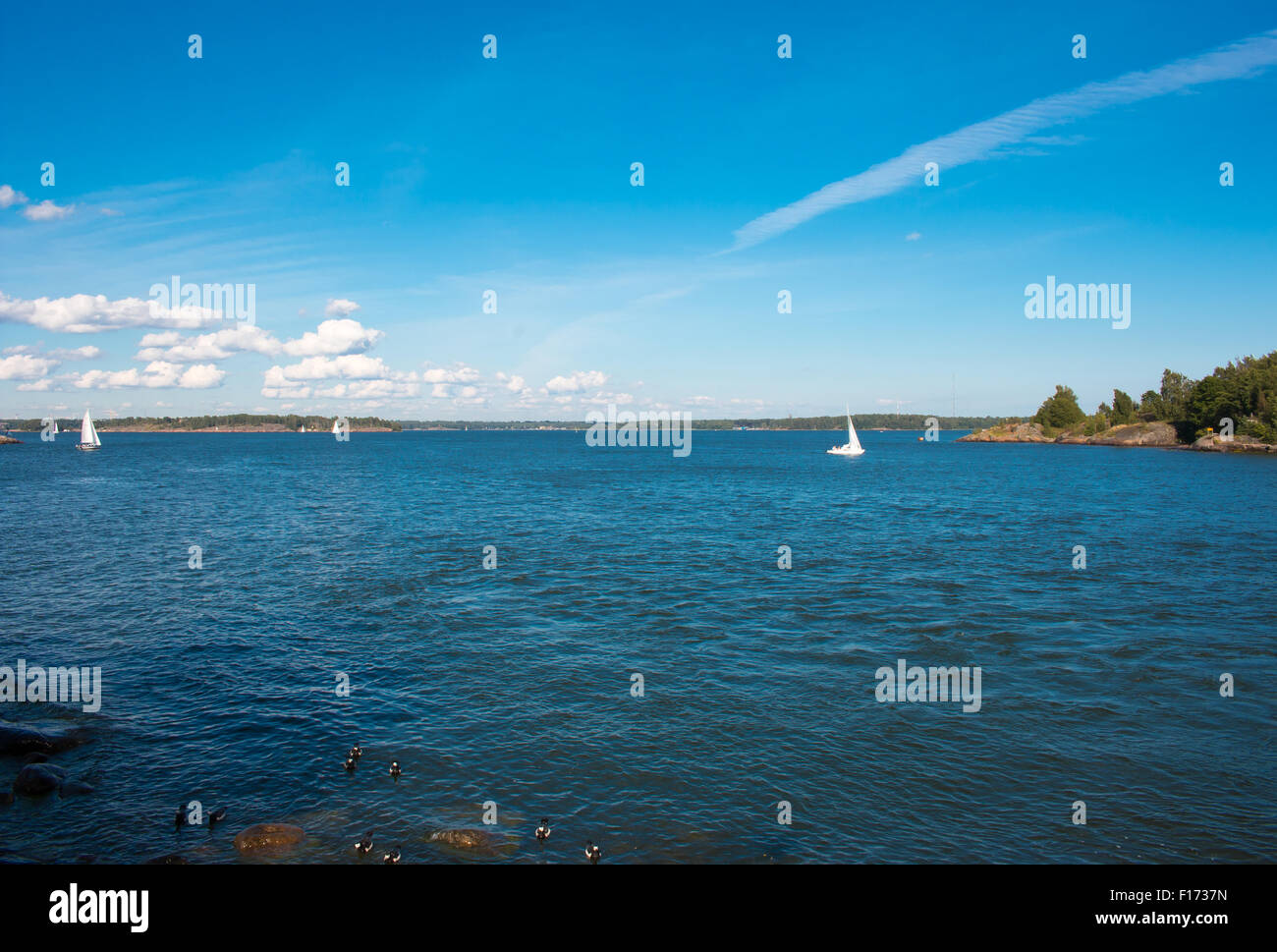 Coastline of Helsinki city during sunny summer day. Deep blue sky. Stock Photo