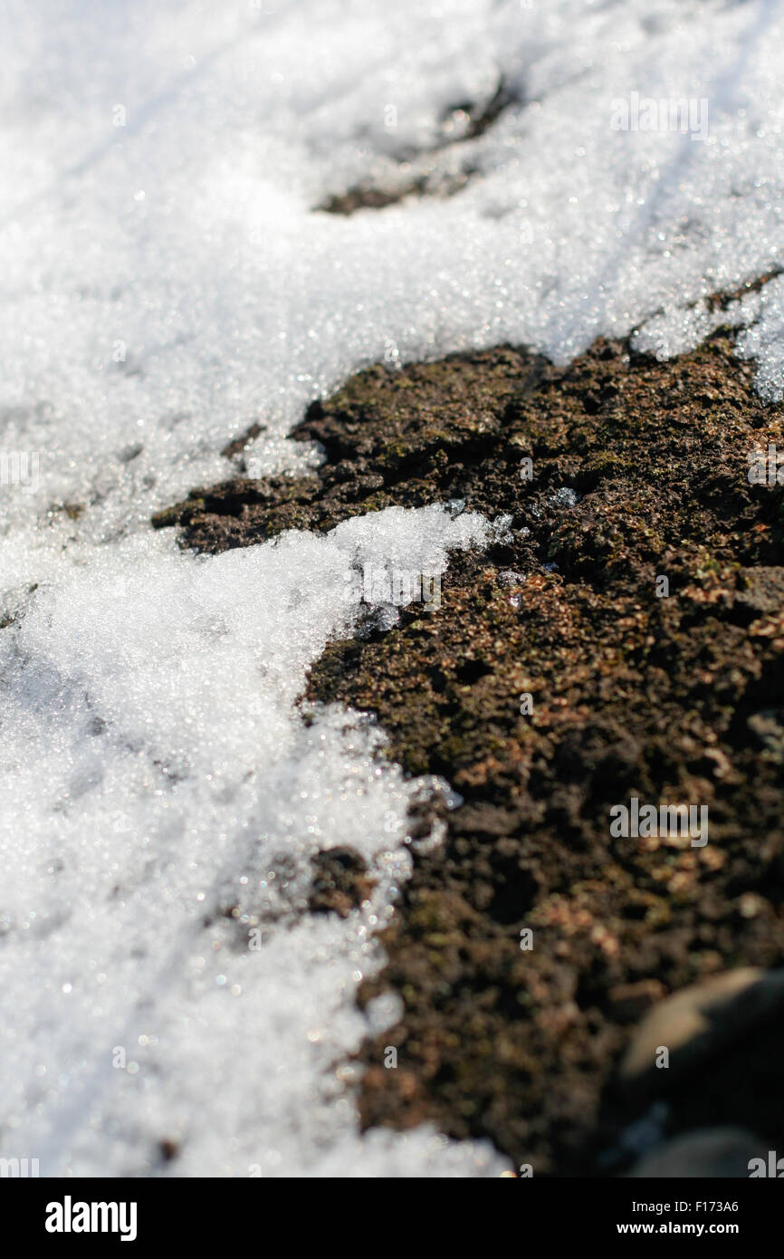 Snow with moist damp earth Stock Photo
