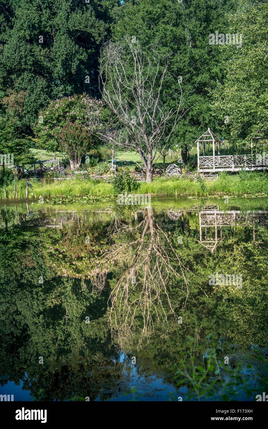 Reflections on a Lake Stock Photo - Alamy