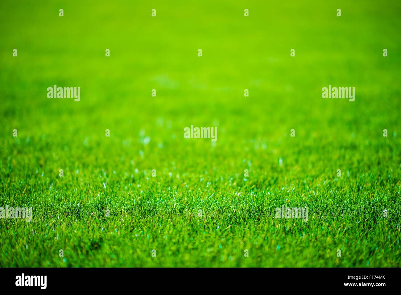 Grass field background hi-res stock photography and images - Alamy