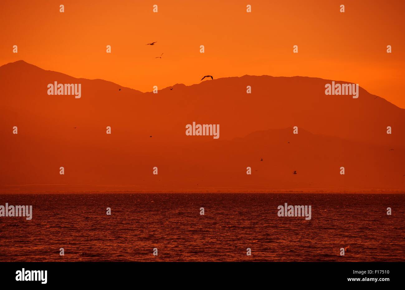 Salton Sea California USA Sunset. Salton Sea Wildlife Stock Photo Alamy