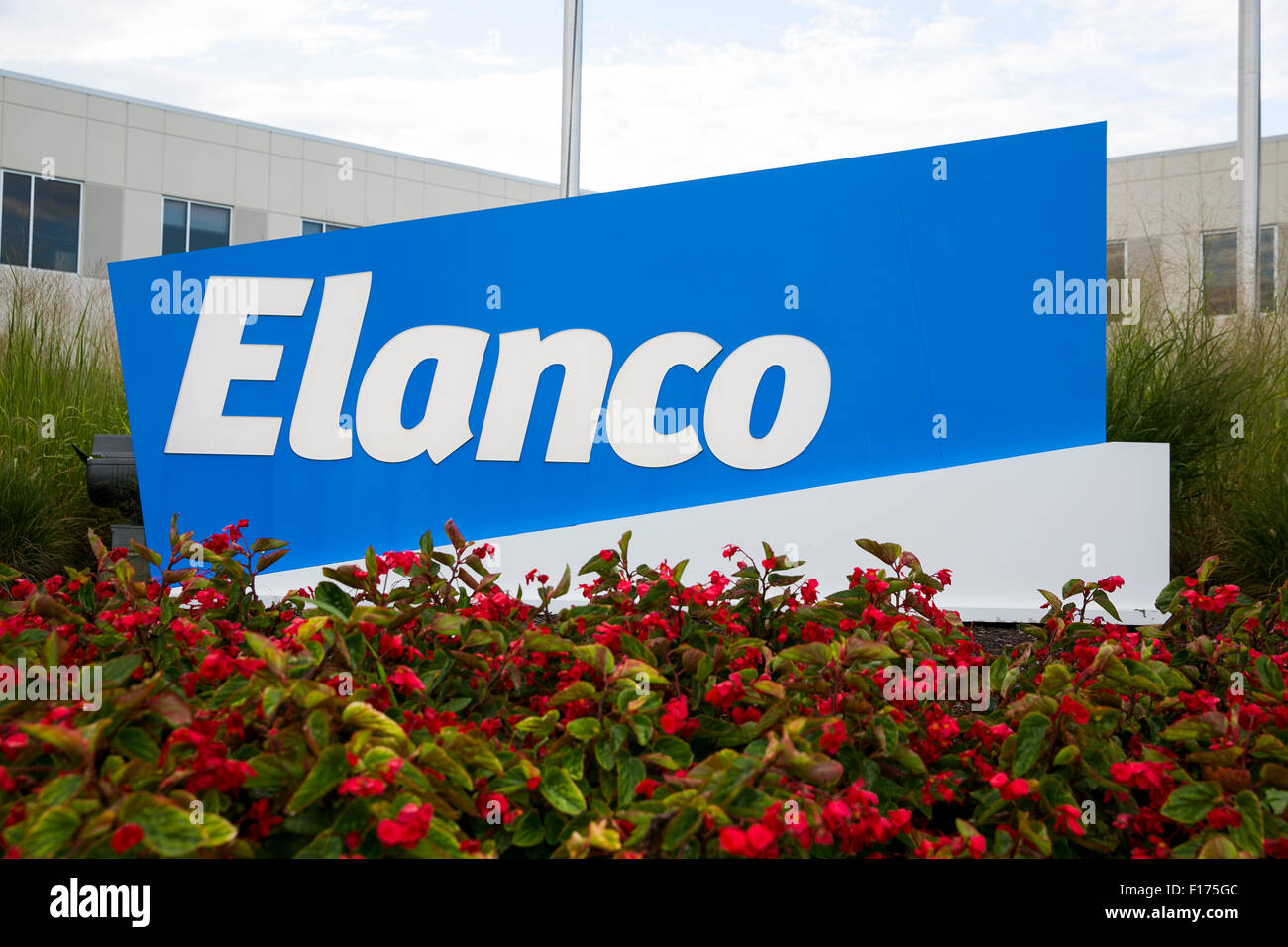 A logo sign outside of the headquarters of Elanco Animal Health, in Greenfield, Indiana on August 15, 2015. Stock Photo