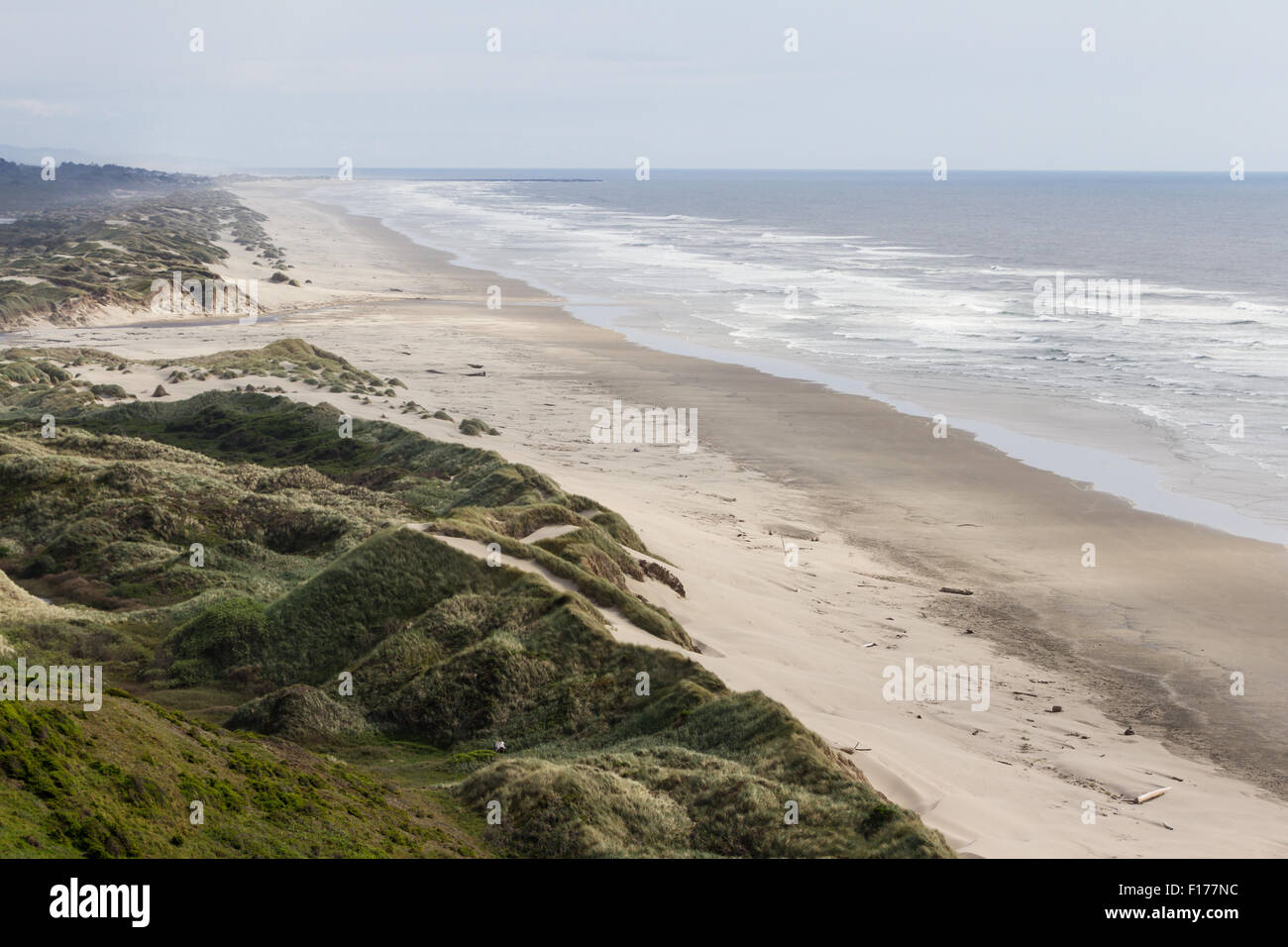 natural landscape in Central Oregon coast with beach, sand dunes and an overcast sky Stock Photo
