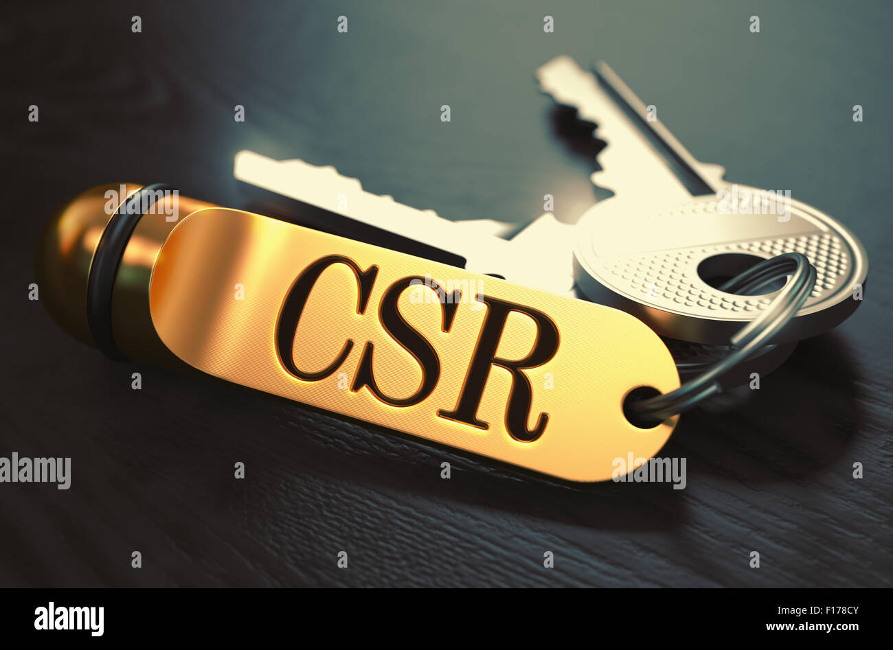CSR - Certificate Signing Request - Bunch of Keys with Text on Golden Keychain. Black Wooden Background. Closeup View with Selec Stock Photo