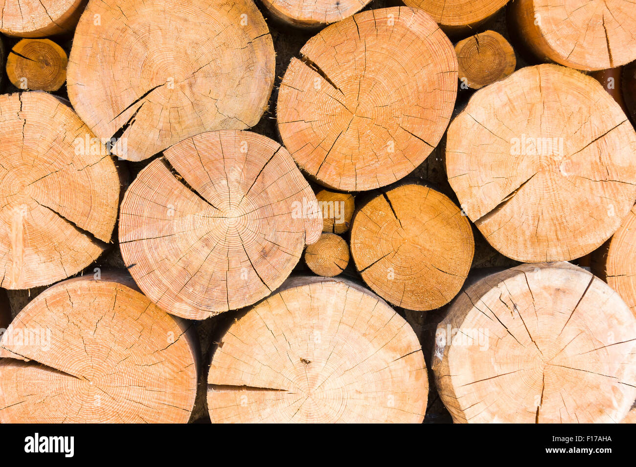 Many large and thick cracked tree beams in a pile Stock Photo