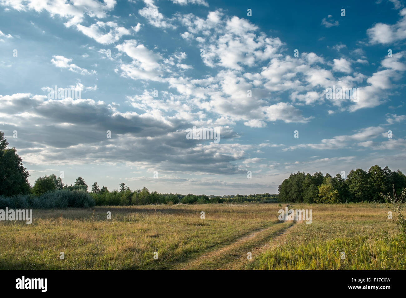 Rural pathway in summer meadow under cloudy blue sky Stock Photo - Alamy