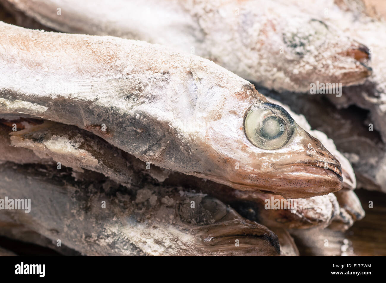 Frozen fish head closeup Stock Photo Alamy