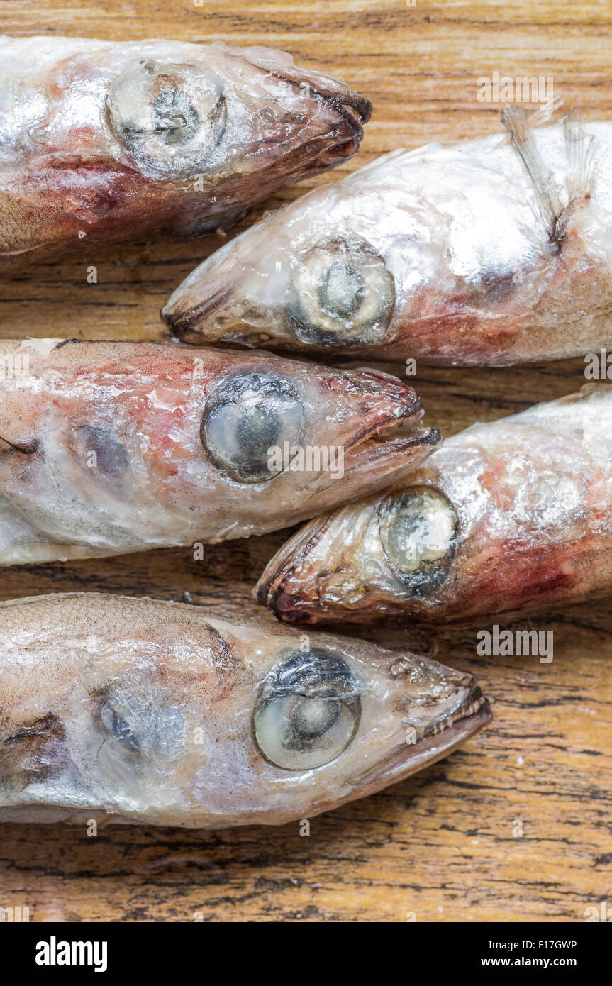 Frozen fish head vertically top view Stock Photo Alamy