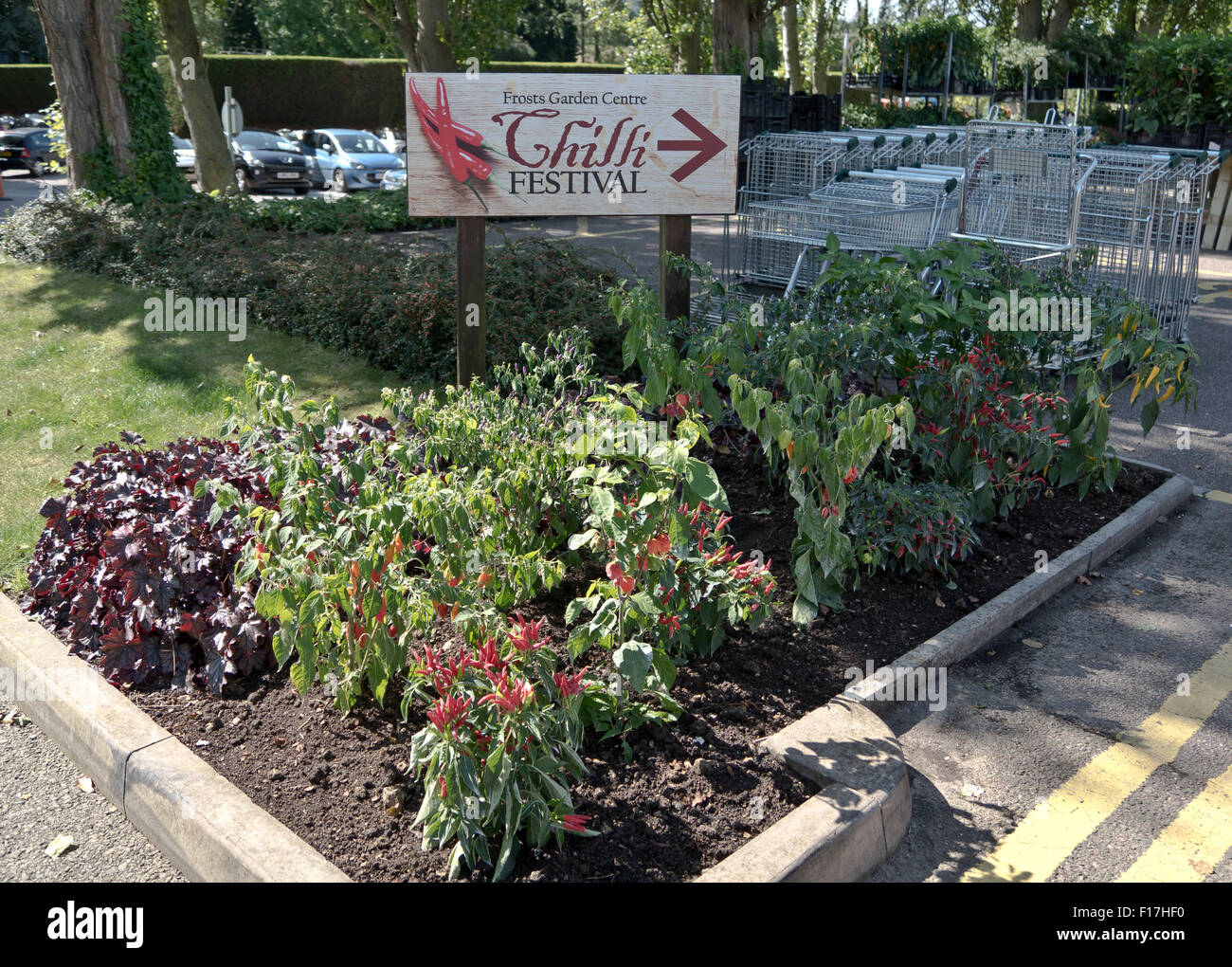 Milton Keynes, UK. 29th Aug, 2015. Frost Garden Centre,Chilli Festival