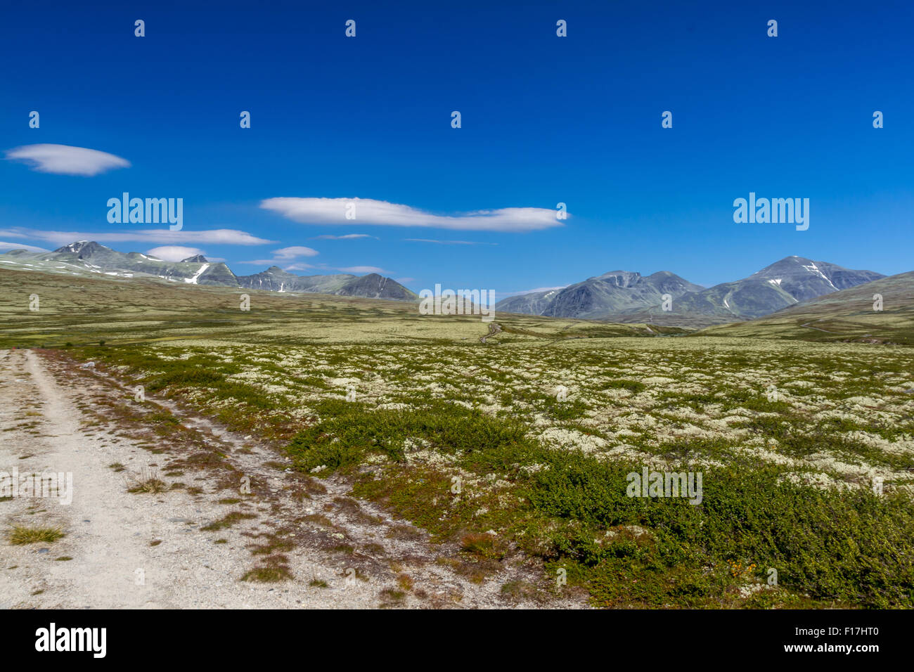 High Resolution Rondane Rondanenasjonalpark High Resolution Stock Photography and Images - Alamy