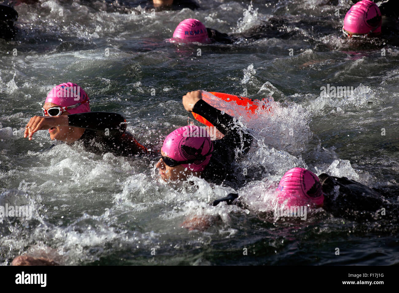 Copenhagen, Denmark, August 29th, 2015. Swimmers on their way in the channels encircling the Danish parliament, Christiansborg. Some 3.300 swimmers takes the 2 km tour round Christiansborg in this yearly recurrent fun race organized by the Danish Swimming Federation. Credit:  OJPHOTOS/Alamy Live News Stock Photo