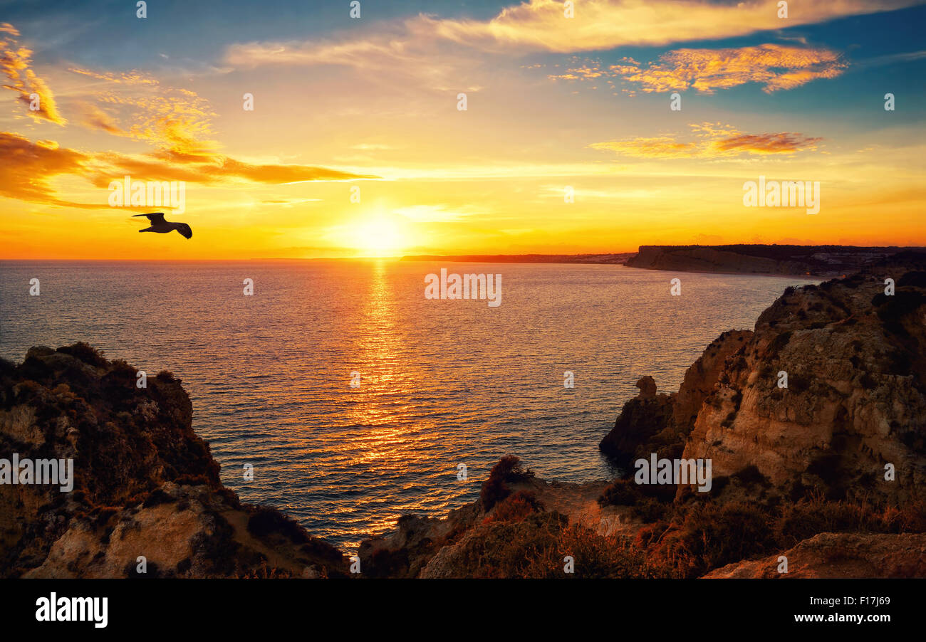 Tranquil sunset scenery at the ocean with the sunlight reflected on the water, a flying bird and the rocky coast Stock Photo