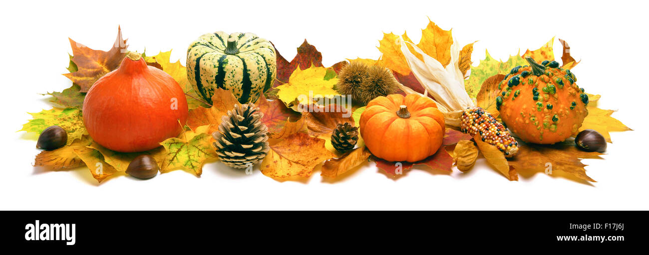 Natural autumn decoration arranged with dry leaves, ornamental pumpkins, cones and more, studio isolated on white, wide format Stock Photo