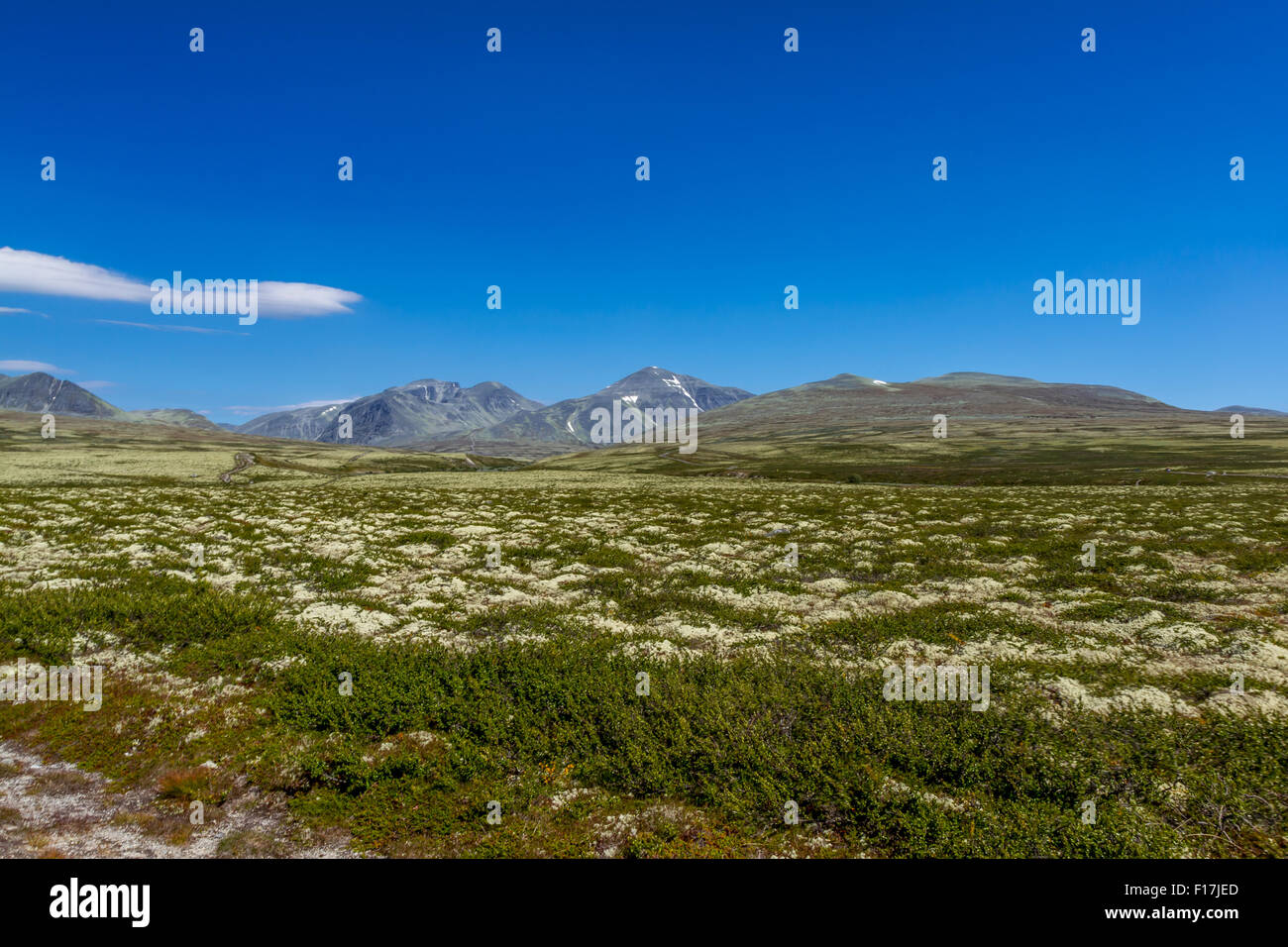 High Resolution Rondane Rondanenasjonalpark High Resolution Stock Photography and Images - Alamy