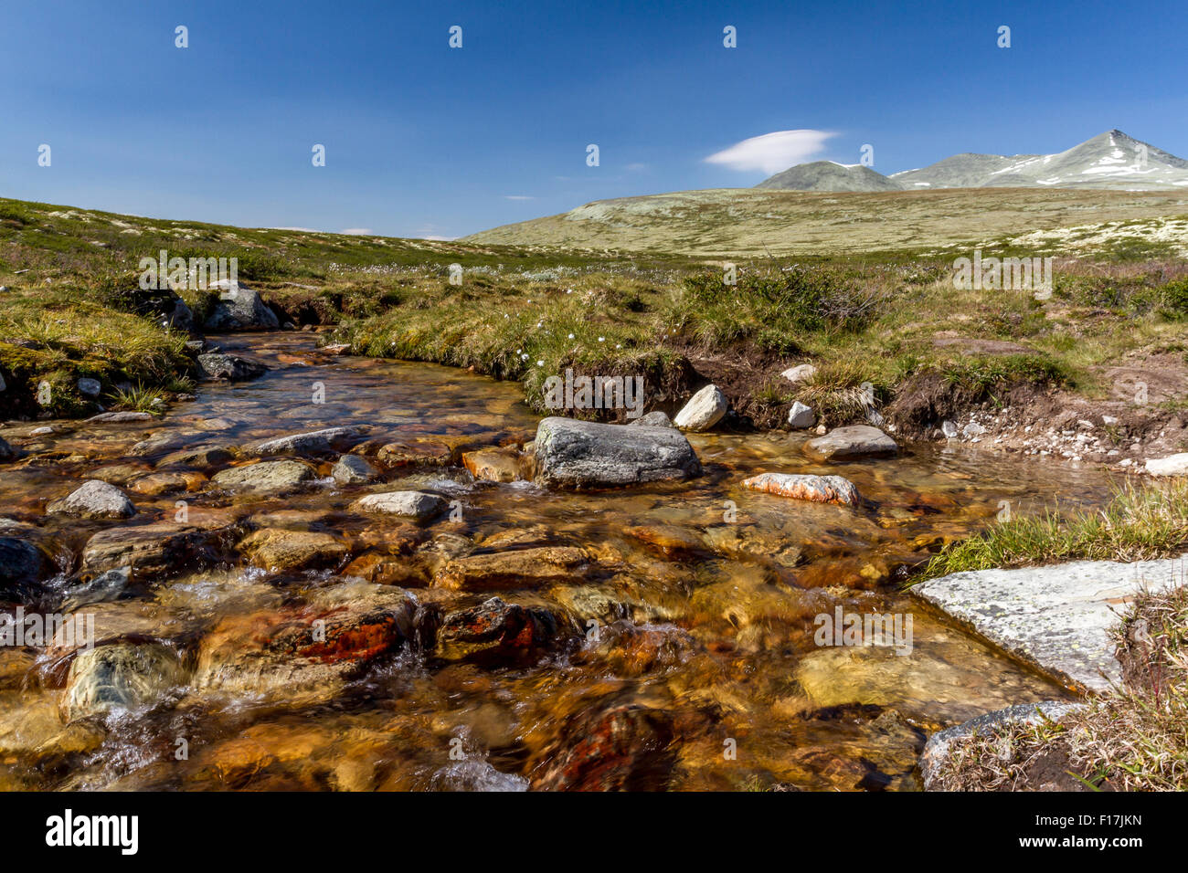 River in Rondane national park, Norway Stock Photo