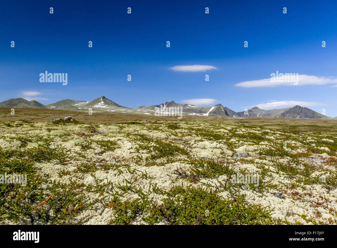 High Resolution Rondane Rondanenasjonalpark High Resolution Stock Photography and Images - Alamy