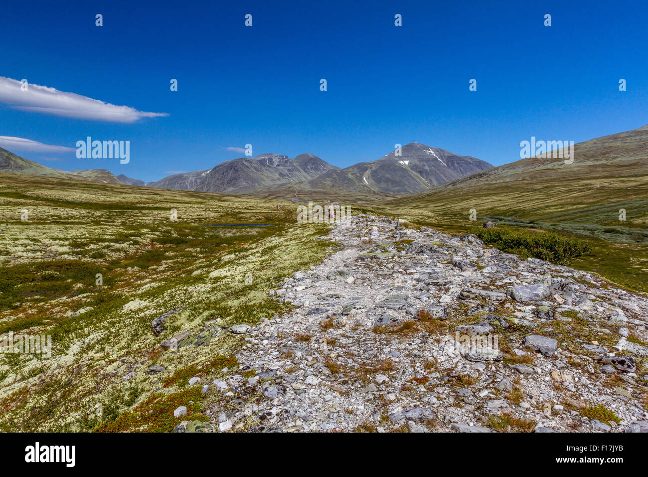 High Resolution Rondane Rondanenasjonalpark High Resolution Stock Photography and Images - Alamy